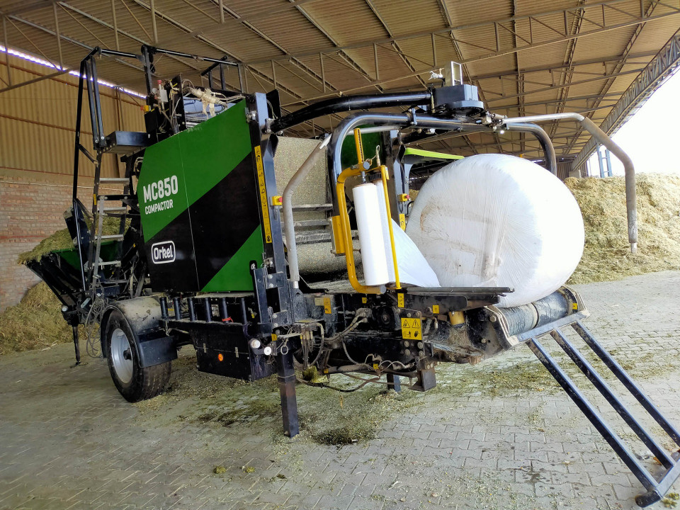 印度奶農(nóng)的玉米青貯飼料